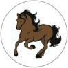 Картинка для съемных аппаратов Novel Design - лошадь фото в интернет-магазине орто.стоматорг 